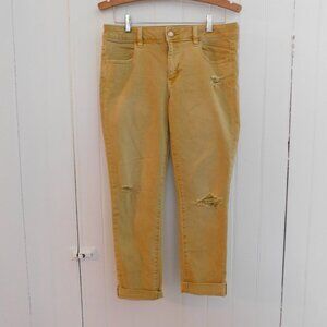 🦅 American Eagle Jegging Crop Super Super Stretch 10
